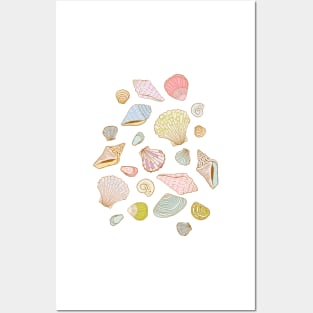 Sea Shells on Sand Posters and Art